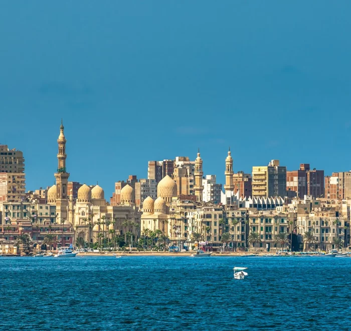 Surprise Tourism LLC | Tour Packages