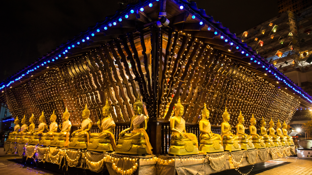 Surprise Tourism LLC | Best Travel Agency in Dubai